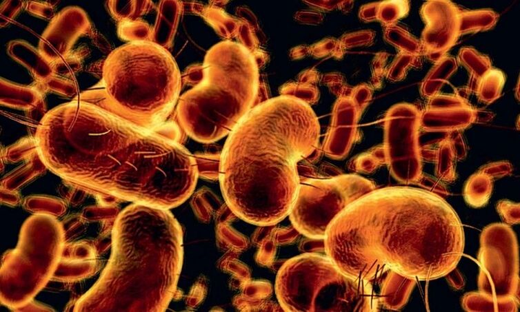 Batteri che causano prostatite infettiva